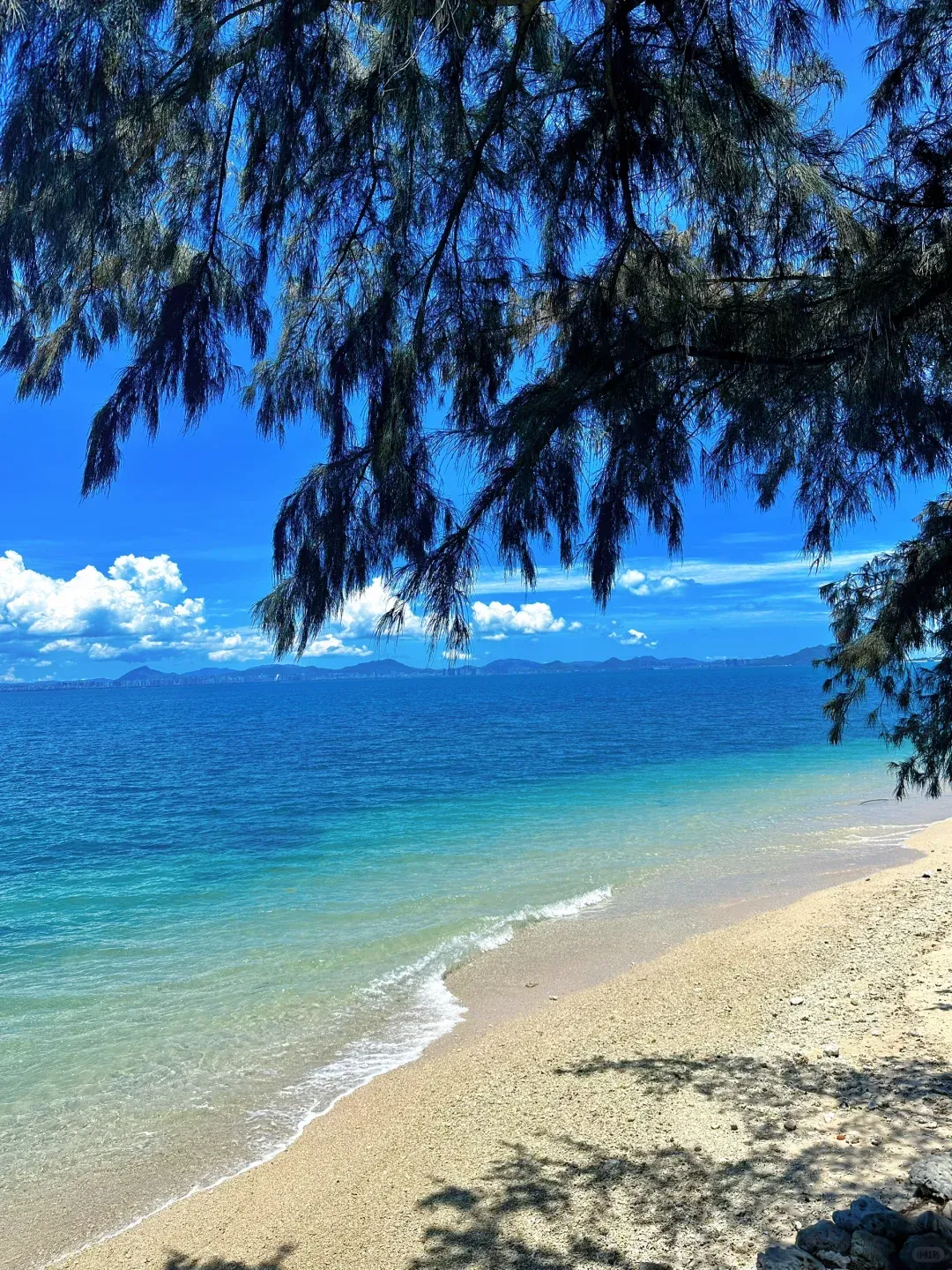 南昌出发探秘三亚4天旅游攻略,揭秘到海南三亚旅游团报价内幕,这份真实体验指南请收好