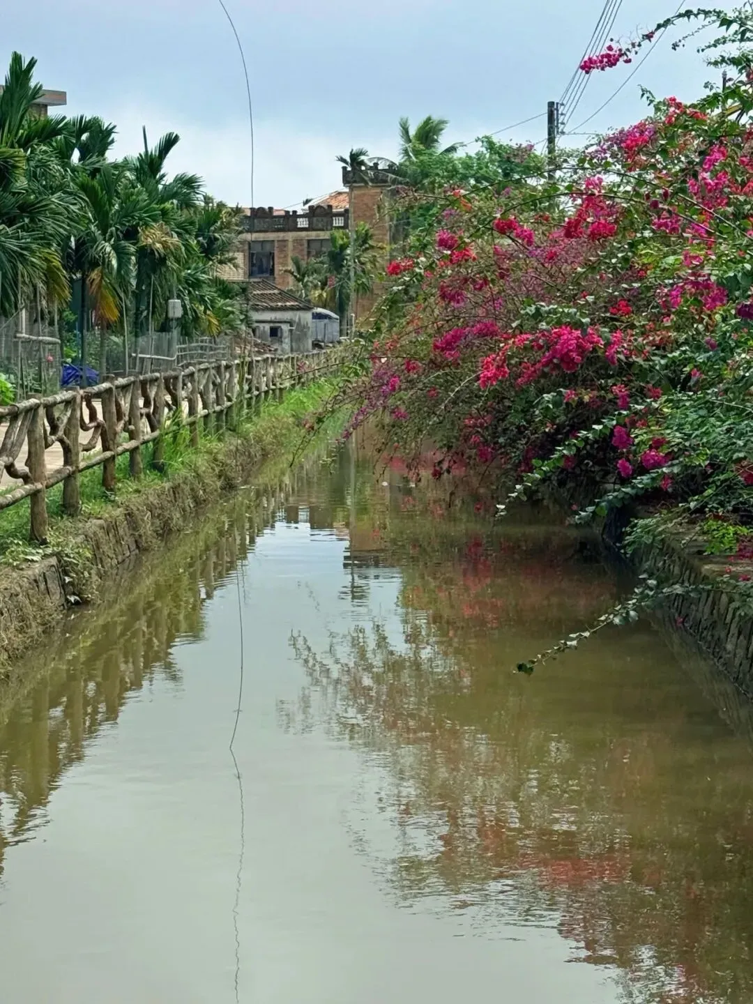 网红景点万宁溪边村