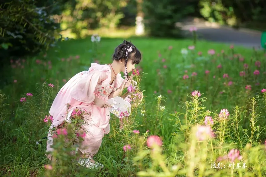 郴州遛娃和拍照景点:免费,花类多,但是人多
