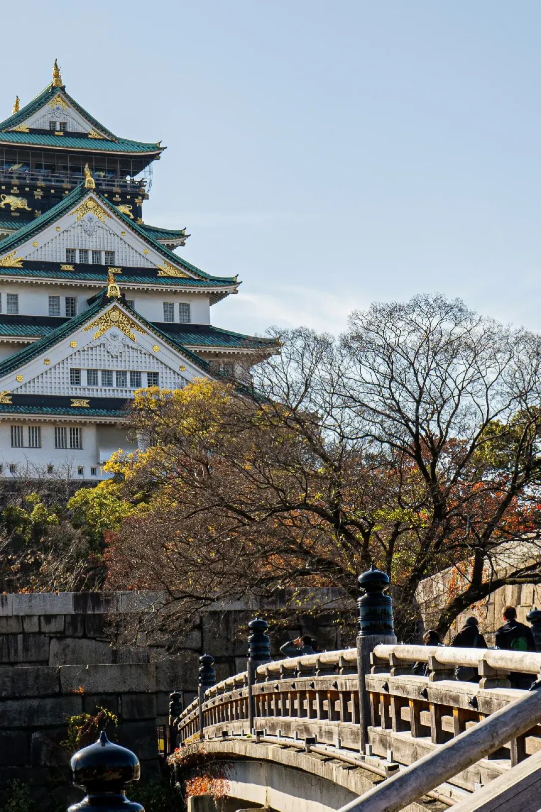 盘点日本值得造访15个景点!在晴空塔饱览东京全景远眺富士