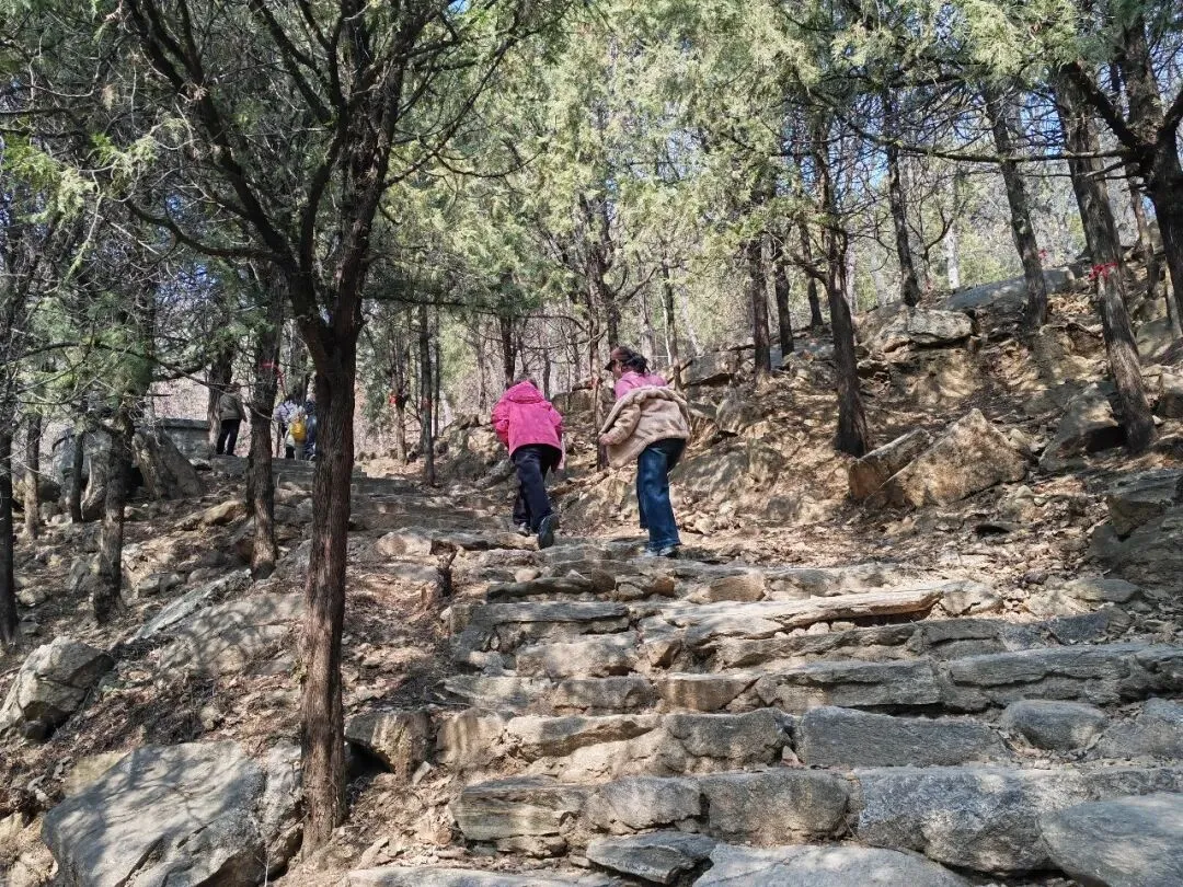 泰安:它是最值得一游的免费景点之一,海拔400余米,清幽静谧,却藏着万历皇帝废长立幼的算计