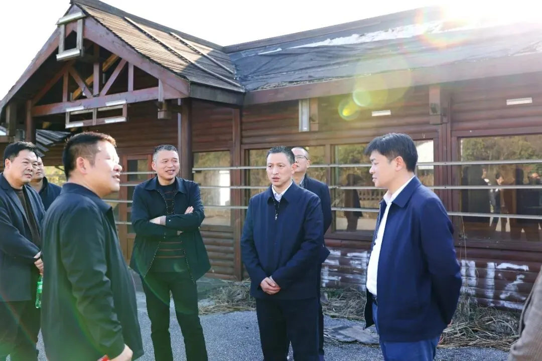 蒋炳炎率队调研中心景区基础设施建设项目