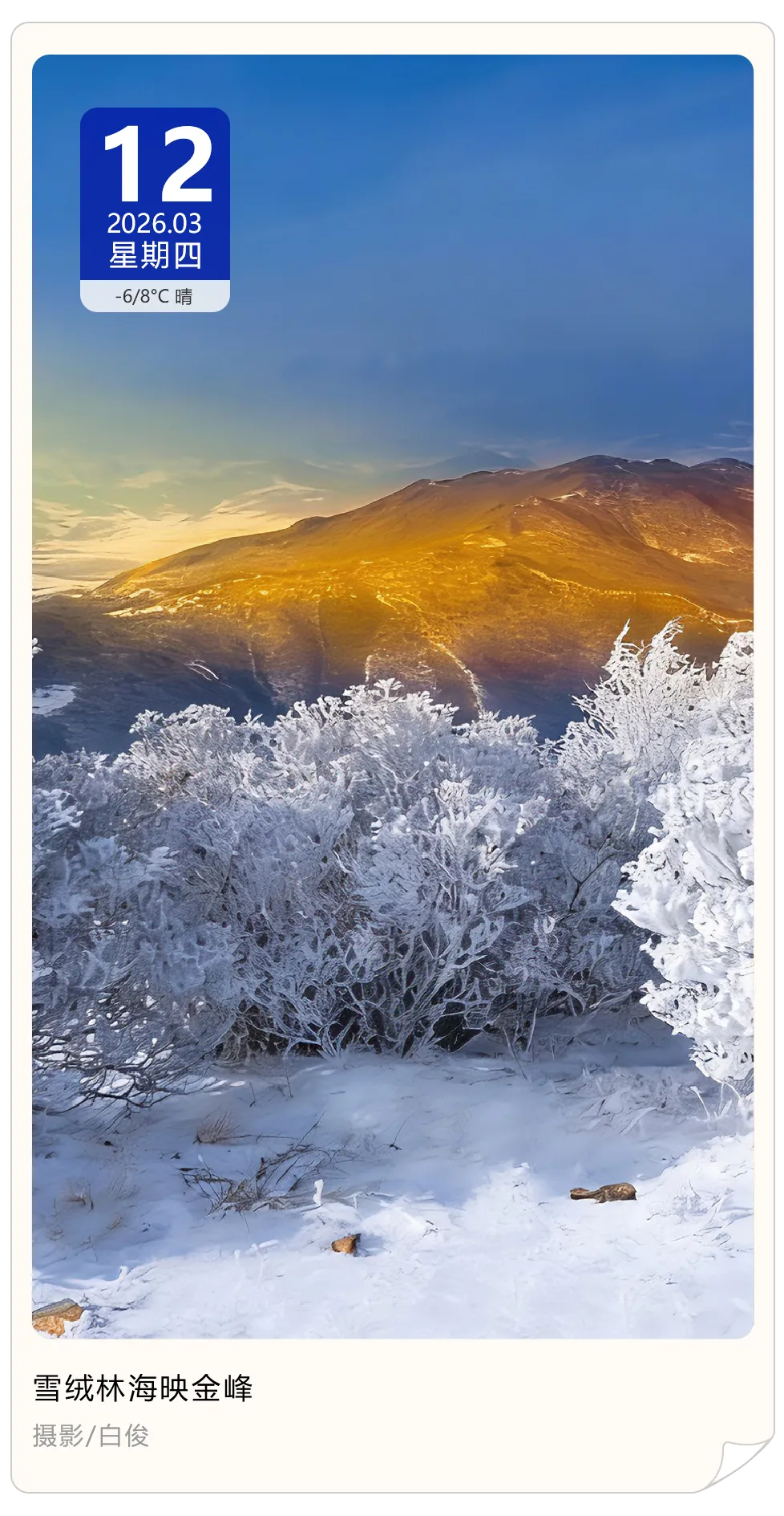 招50人!通辽正在征集!沈阳八大景区免费逛……