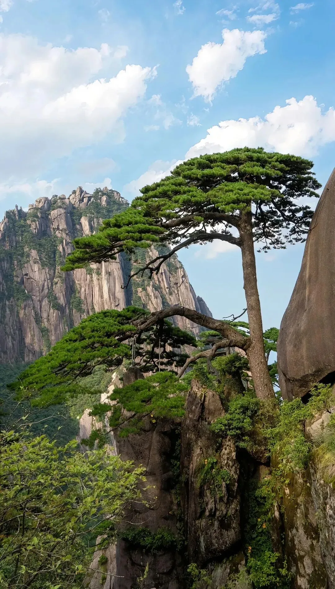 黄山市好玩的十大景点