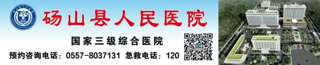 文家河景区焕新添美景 梨都砀山喜迎八方客!