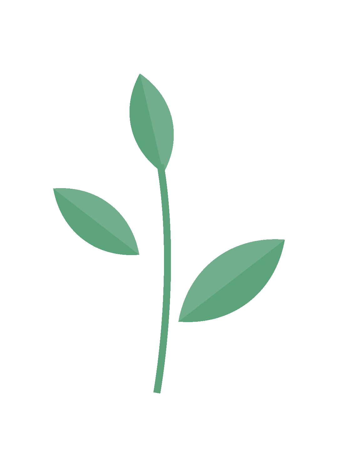 植此新绿,共护生态!东平湖景区植树研学营火热进行中~