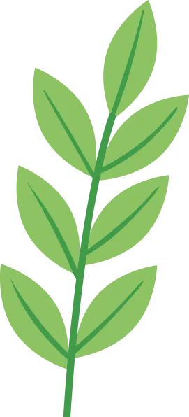 白沙山景区-植树节:以一抹新绿,护一片山河