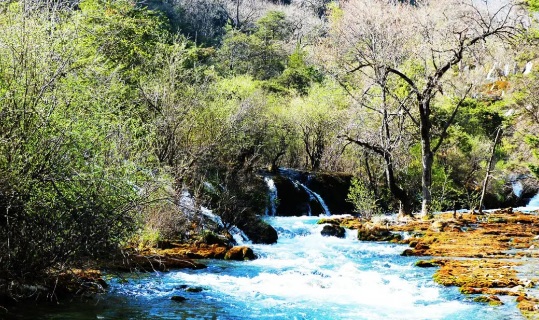 国内几乎0差评的5个景区,精美很值得来