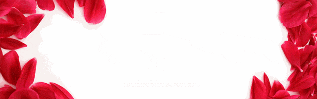 别挤热门景点,泉州这座小众公园太治愈!