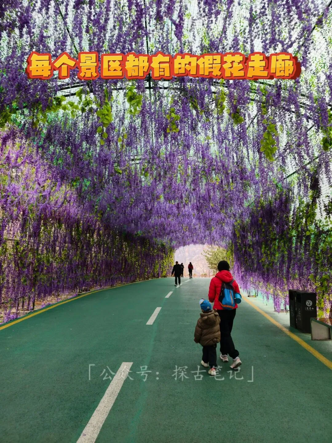 现在的山景区,除了山,什么都有...