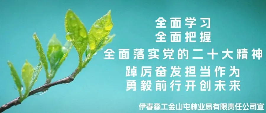 燃动冰雪情暖林都 金祖峰景区冬季文旅发展硕果累累