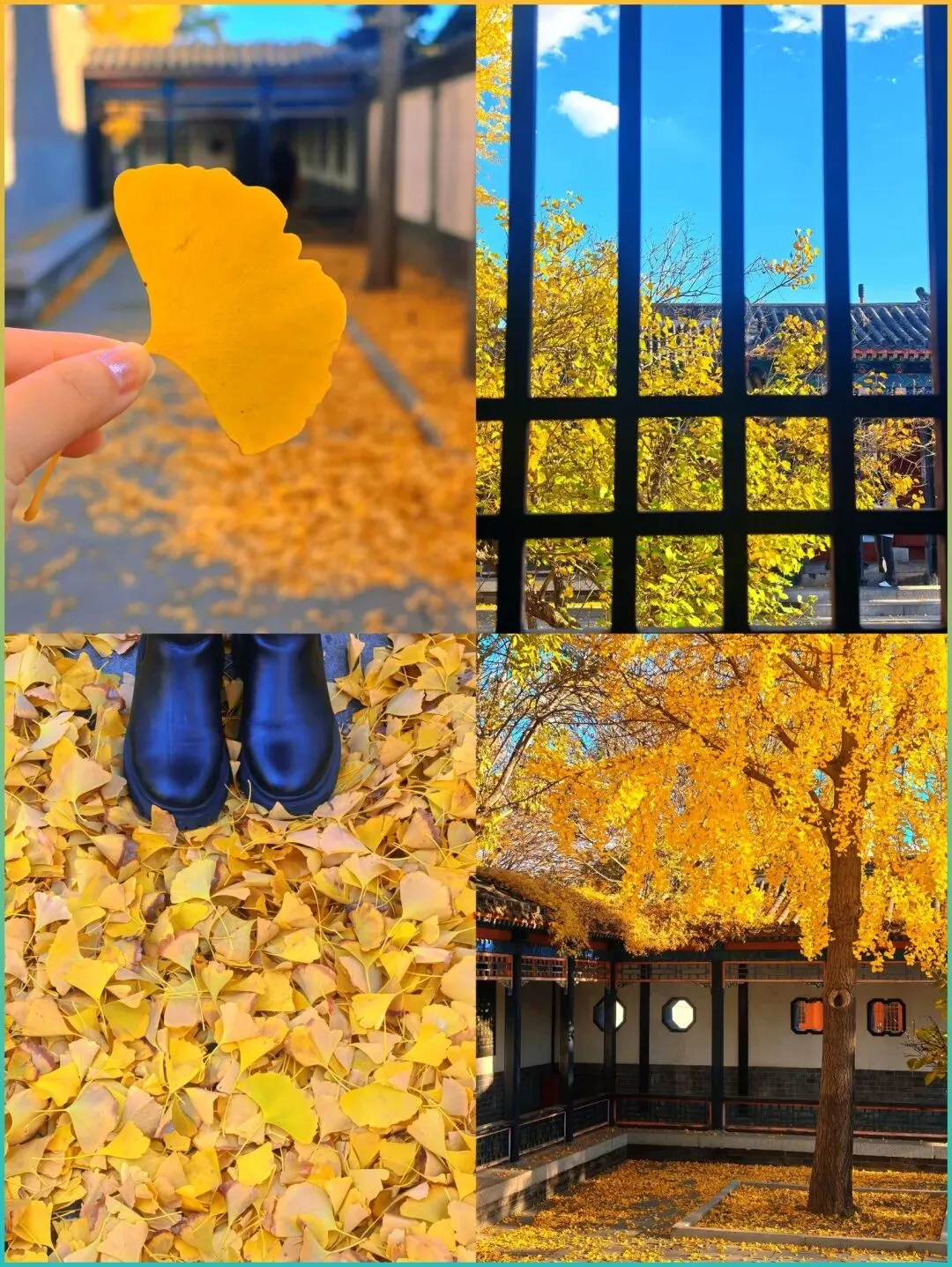 贵州人嘴真严,这座藏在大山里的宝藏景点,风景秀丽却鲜为人知,堪称最美秘境!