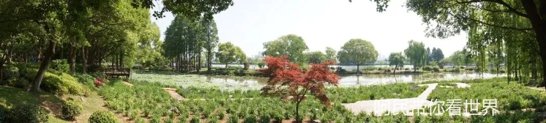 江苏5A级景区:无锡鼋头渚