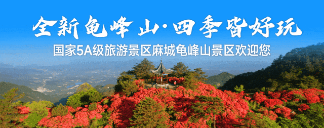 产教融合谱新篇 龟峰山景区与黄冈职业技术学院携手开启合作新征程