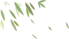 旅游管理学院|种下希望,旅见未来