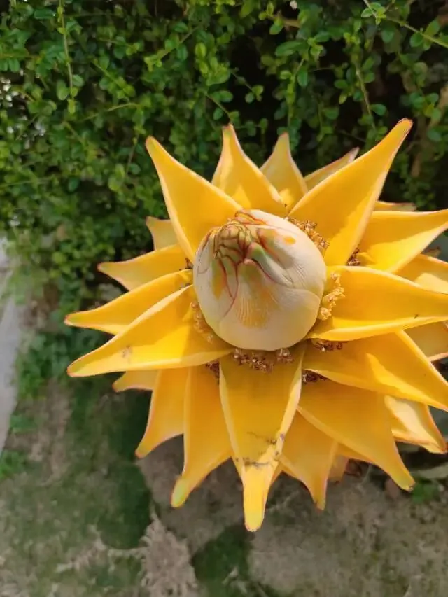 出门旅游别乱买贵东西,路费比维权便宜