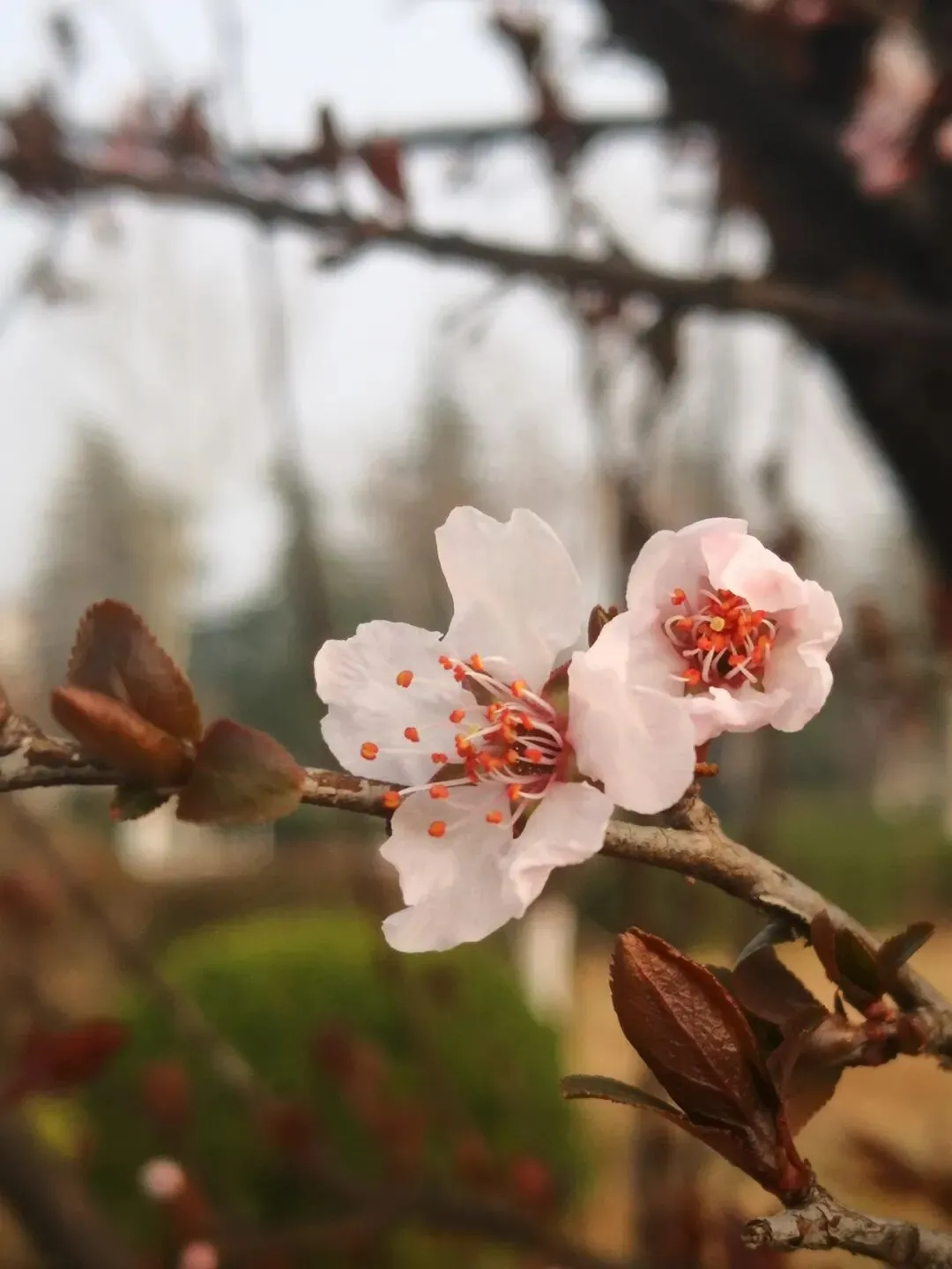 容易读错的30个地名,旅游别读错了