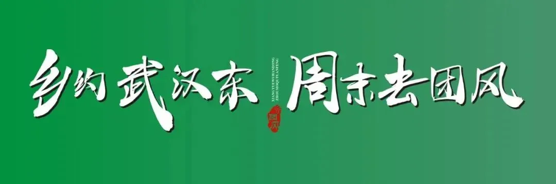 旅游投诉新规3月15日起施行,充分保障旅游者合法权益