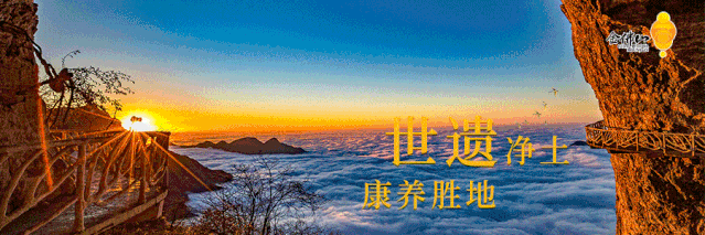 关于3月13日金佛山景区西门/北门索道因大风天气临时停运的公告