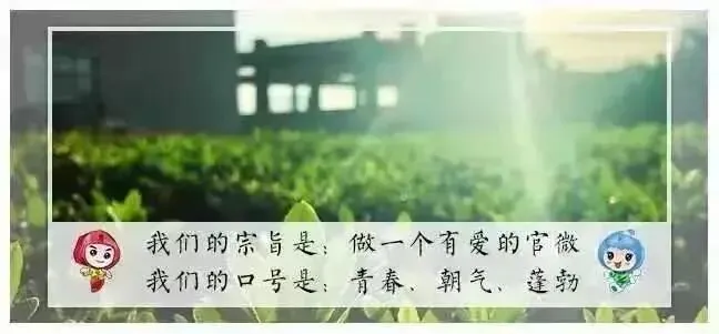 双向奔赴!云旅游?!这份文档治愈了防疫中的我��!