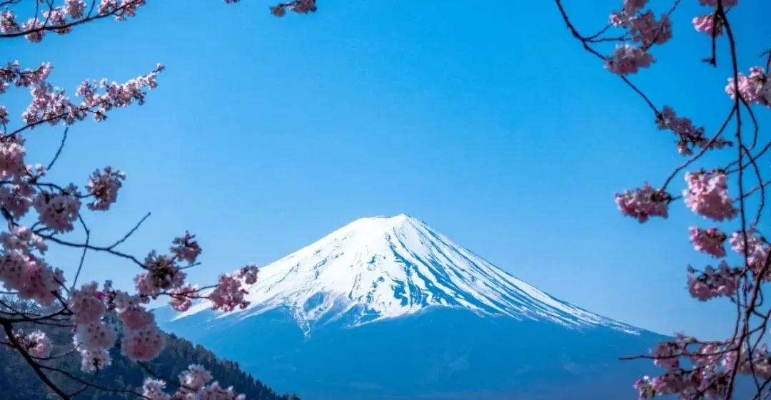 日本旅游签证,资料应该这样准备~