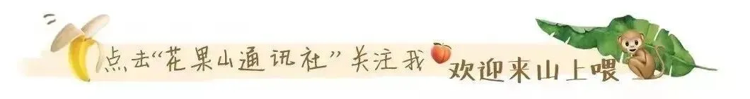 读者征集|新年旅行计划请看这里,祖国大好河山有多精彩?我们还是低估了!