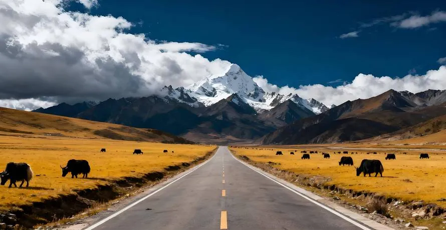 国内封神级自驾路线!不用出国,一路看遍山河湖海