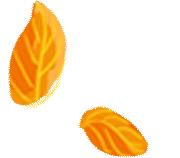 呼伦贝尔2020,六日五晚行程规划