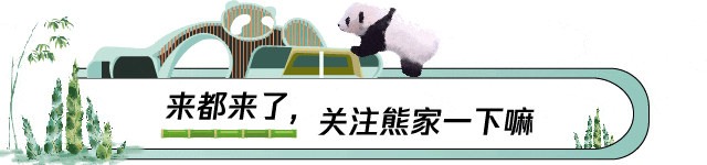 这是一份熊猫基地园区旅游指南,请查收~