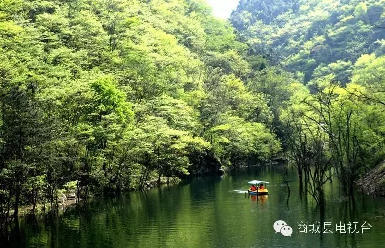 西河景区建立“游客黑名单”档案