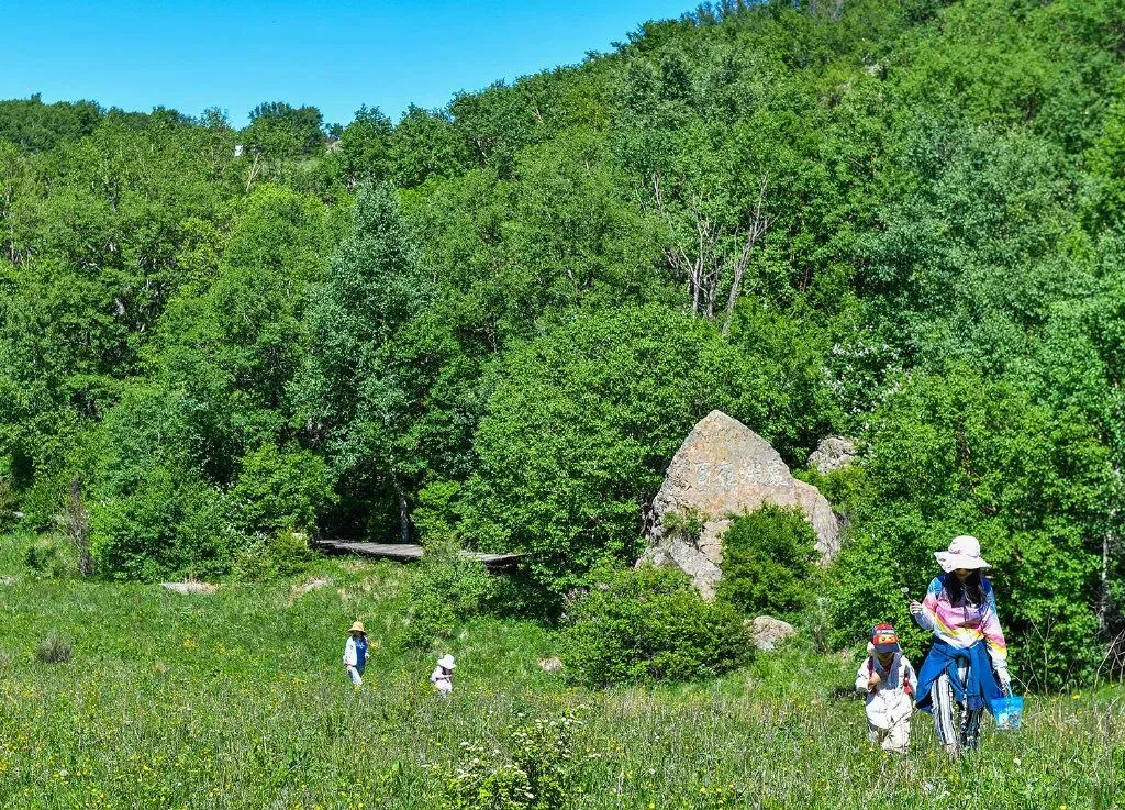 旅图 | 北京遛娃旅游指南