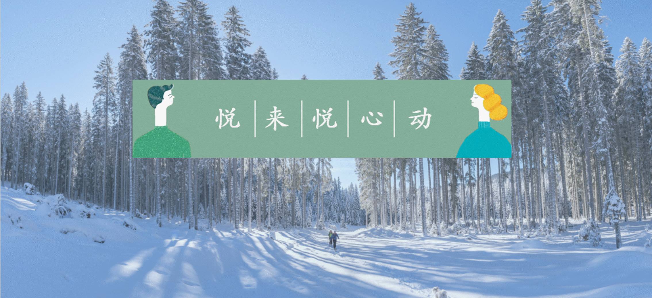 谁才是你旅行计划的最大支持者?