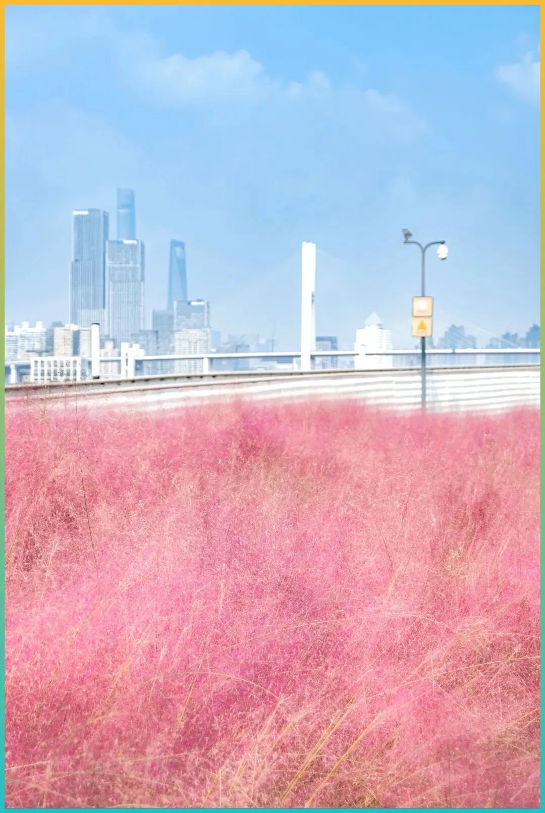 4月自驾游必备!江浙沪皖最美8条花海路线,一键收藏说走就走!