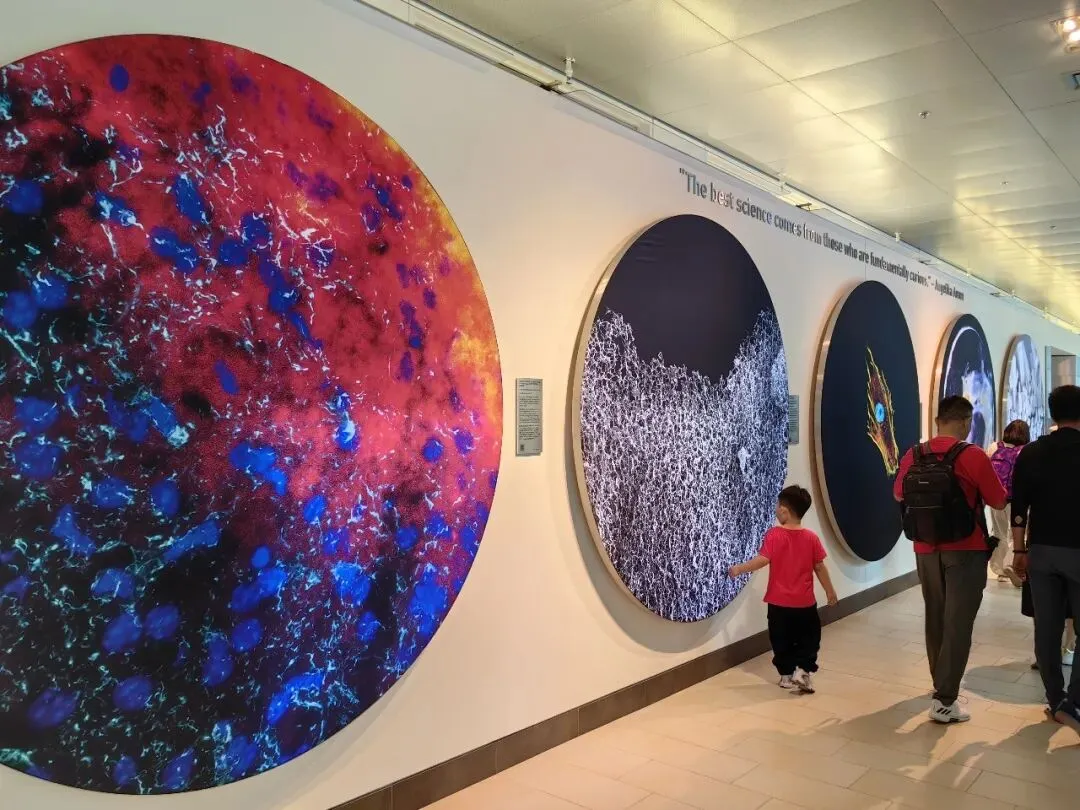 旅行中拍摄的素材(美东)