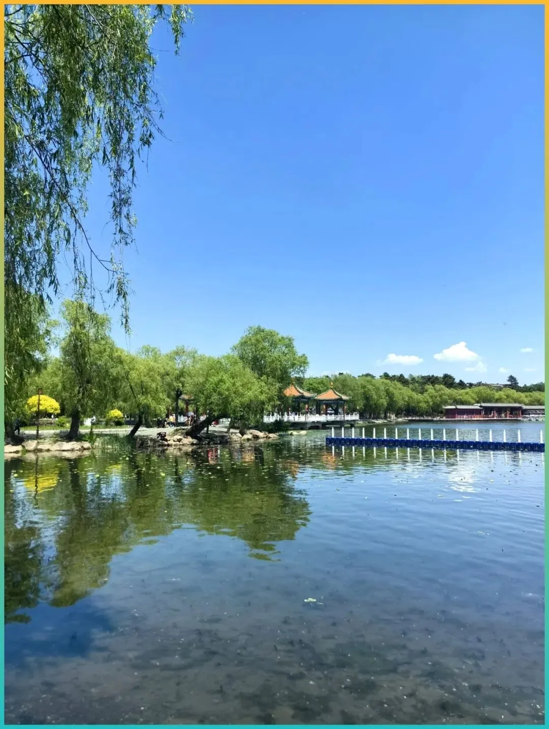 清明自驾必备!4月江浙沪皖最美赏花路线,春色如织美如画!