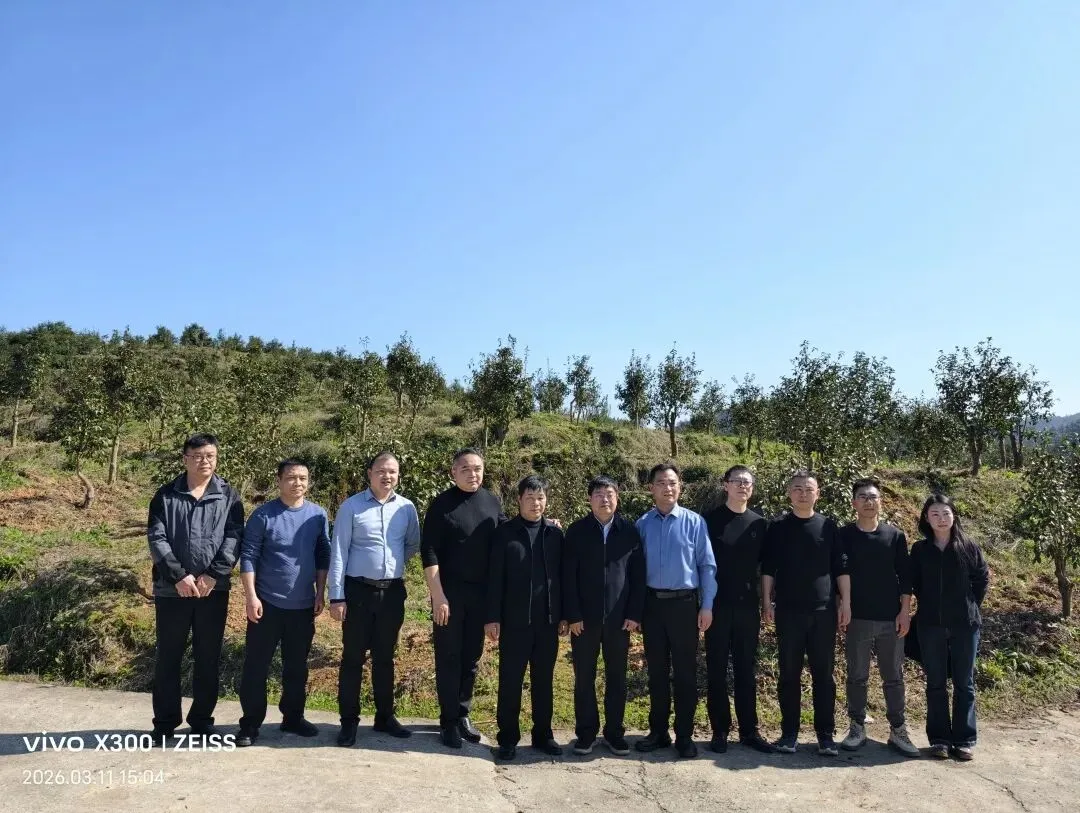 省内外林业专家为肇兴景区油茶景观林建设“把脉开方”