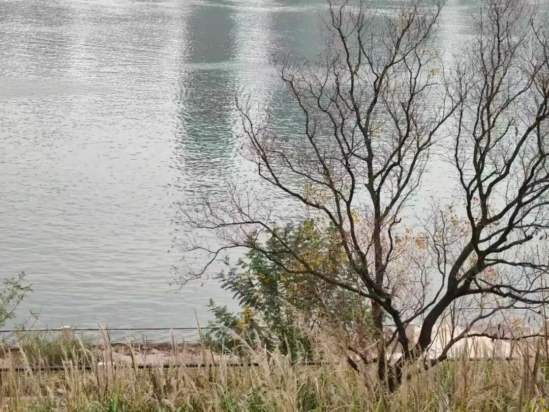 以前旅行一天跑三个景点,现在只想找个地方晒太阳