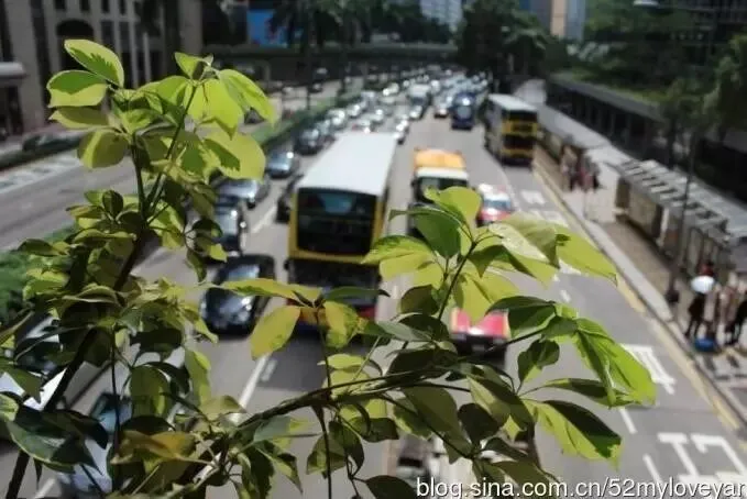 无需跟团的香港自由行攻略