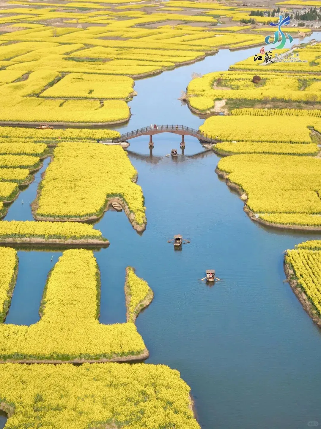 春季自驾游必备!3月江浙沪最美花海路线,秒杀热门景点!
