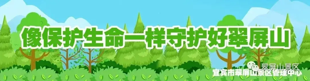 翠屏山景区:植樱添绿护青山