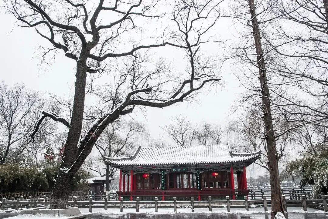 《济南景点历年摄影精粹》之雨荷厅