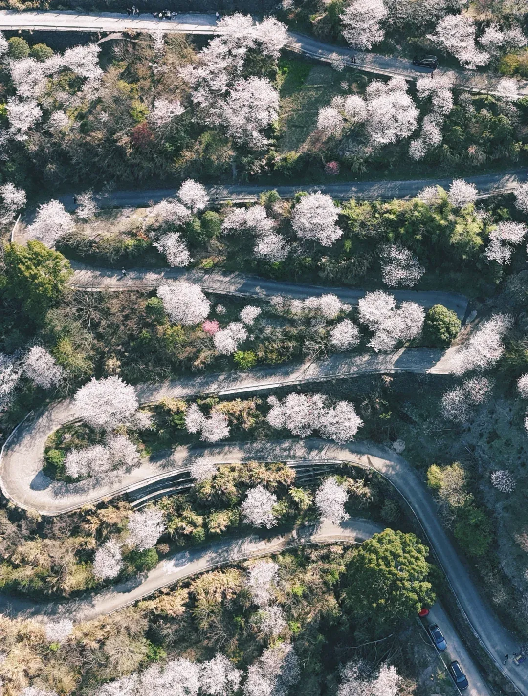 旅游攻略 | 玩转浙江余姚:8大必逛景点+16大必吃特色美食,一定不要错过