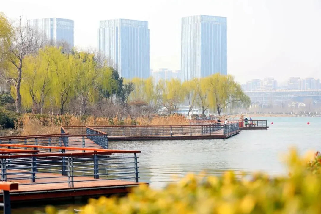商丘日月湖景区|风携暖意至,一湖春色醉人心