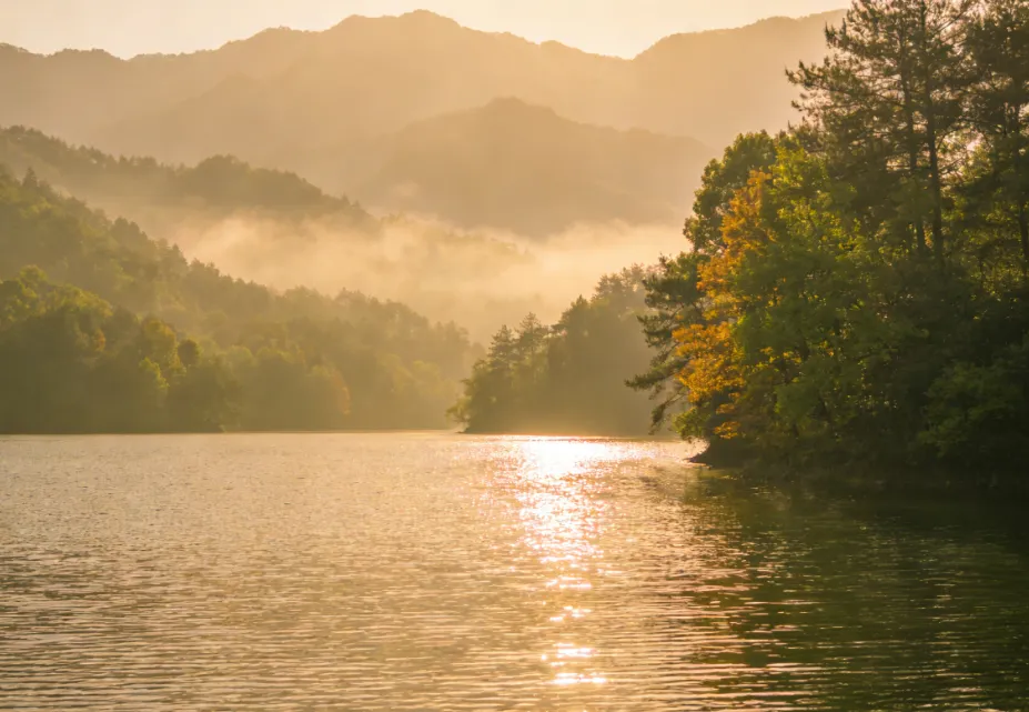 旅游康养基地沉浸式体验打造指南:科学动线设计+全流程服务闭环