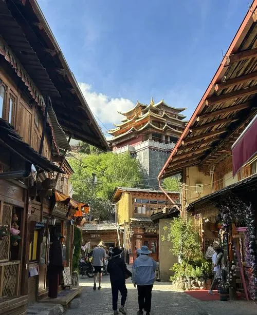 大量意大利游客涌入迪庆,打着旅游的幌子,不逛普达措,不吃酥油茶,为什么?