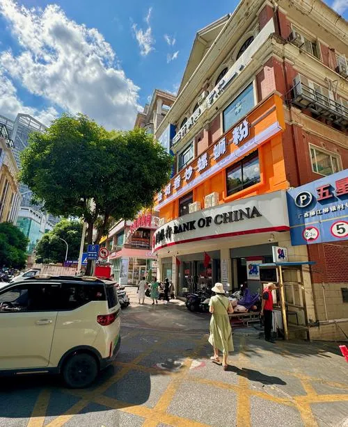 大量荷兰游客涌入柳州,打着旅游的幌子,不逛鱼峰山,不吃牛腊巴,为什么?