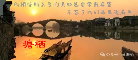 新年＂新＂效应 | 塘栖古镇景区规模最大的＂鸭头店＂之一,正式开启门店装修