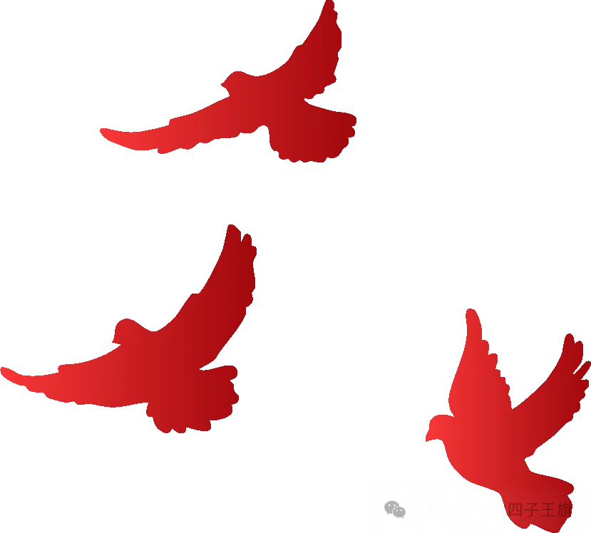 关于在全旗范围内公开征集 旅游行业导游乱象、强制消费问题线索 的公告