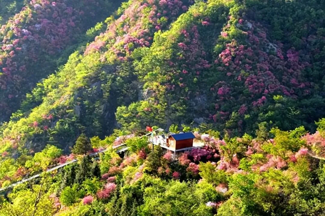 襄阳周边自驾游景点推荐