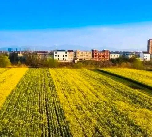 唯美图片:中国黄梅戏之乡,国家优秀旅游城市,国家历史文化名城,大美安庆